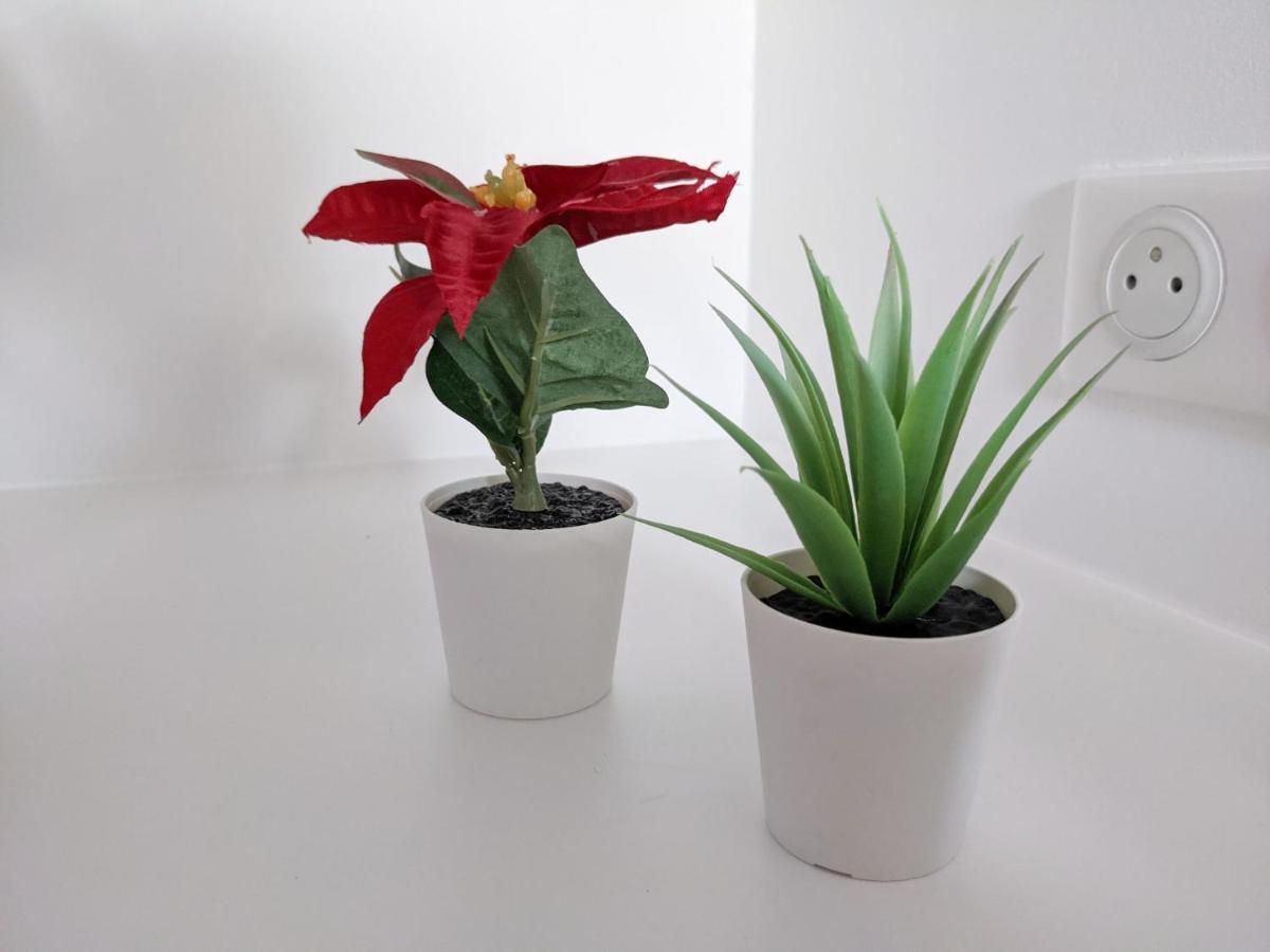 Reves Paisibles Rubis - Choisy Apartment Bagian luar foto
